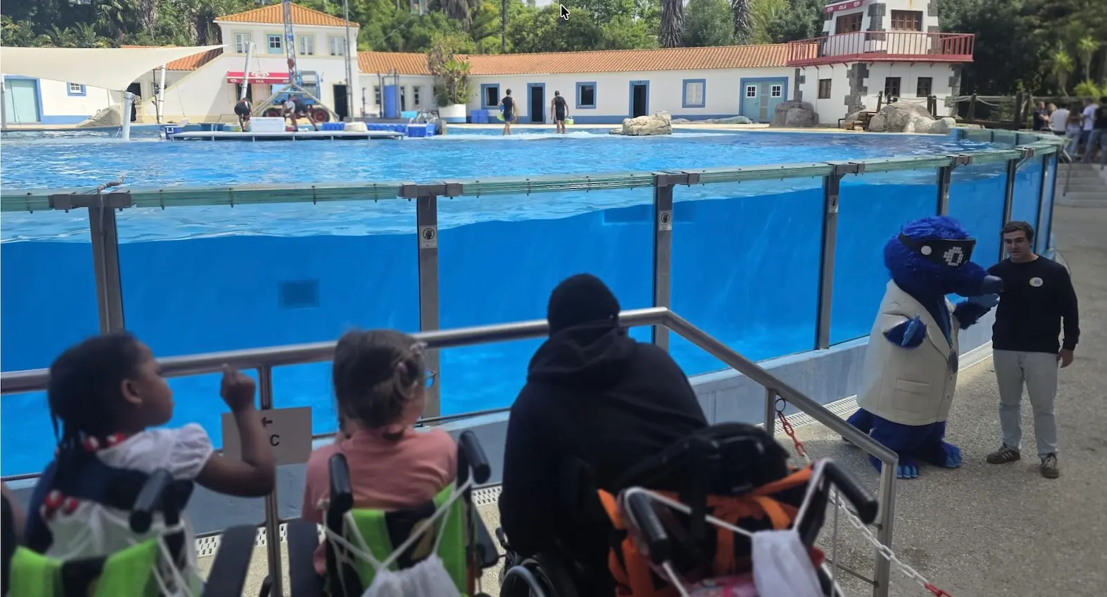 Theo na Baia dos Golfinhos Zoo